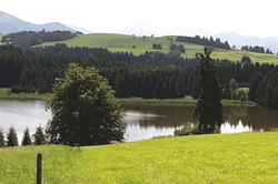 Kaltenbrunner See Allgäu
